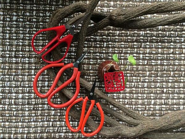 互動吧-【彭兵剪紙】體驗(yàn)DIY生肖創(chuàng)意剪紙（第一季）精彩集錦
